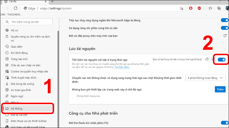 Chọn v&agrave;o Hệ thống v&agrave; bật t&iacute;nh năng tiết kiệm t&agrave;i nguy&ecirc;n với tab ở trạng th&aacute;i ngủ